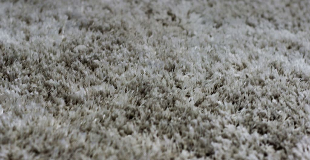 Area Rug & Upholstery Cleaning